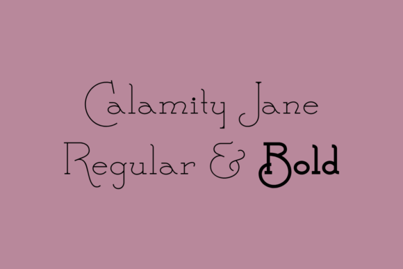 Calamity Jane Font: A Professional Serif Typeface for Small Business Branding