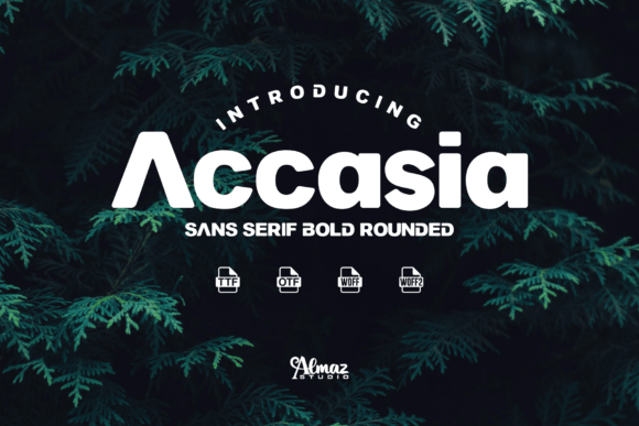 Why Accasia is a Must-Have Typeface for Your Next Campaign